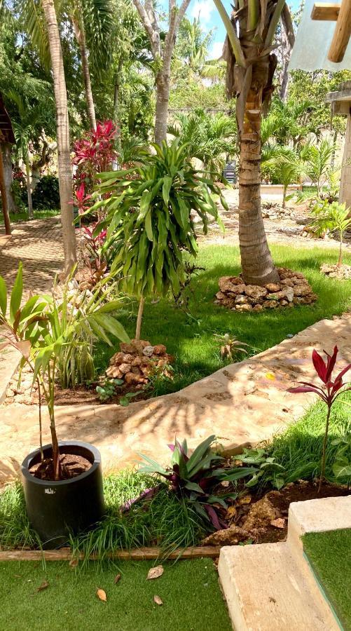 Green Paradise Leona Vicario Exterior foto