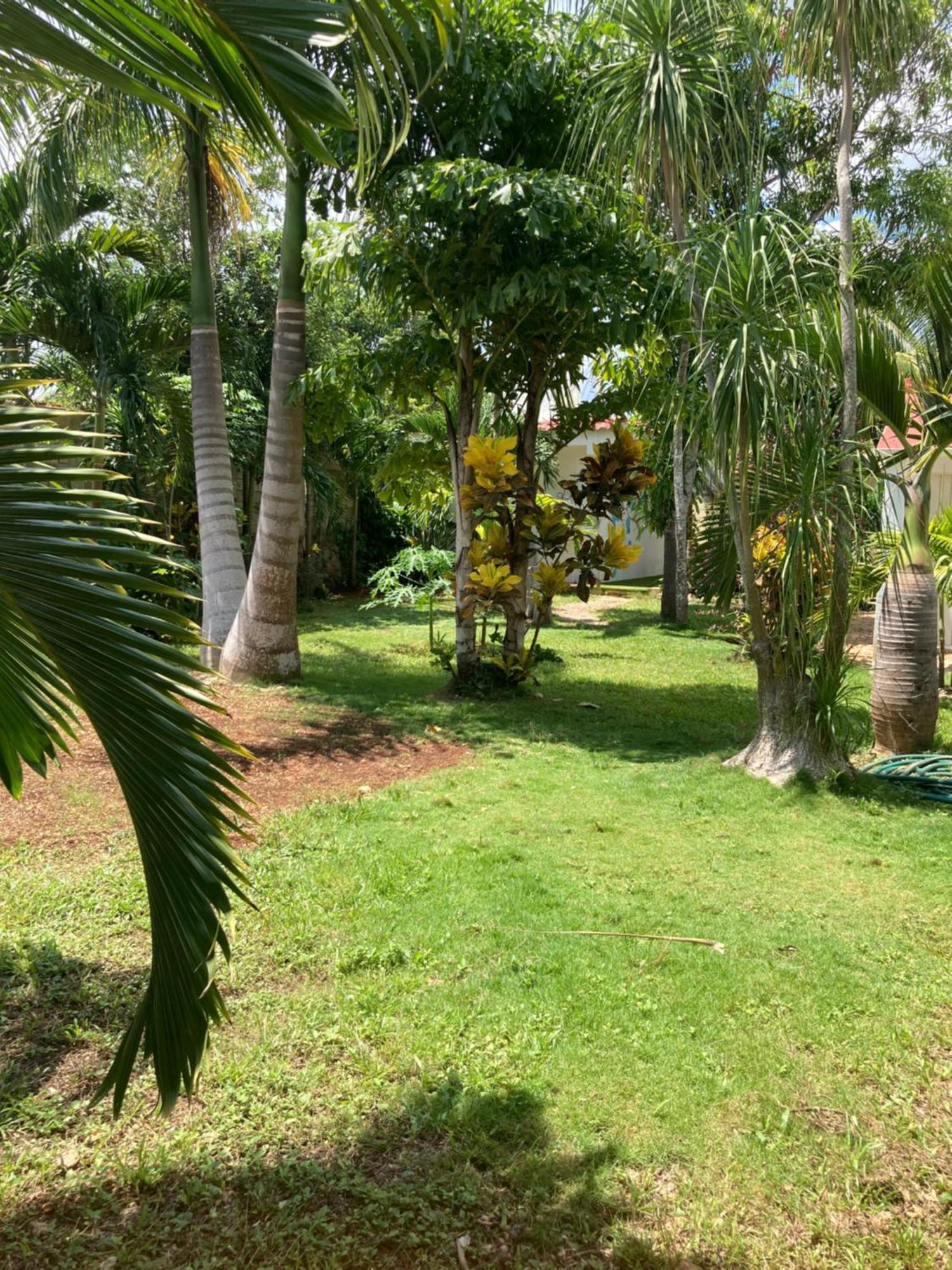 Green Paradise Leona Vicario Exterior foto