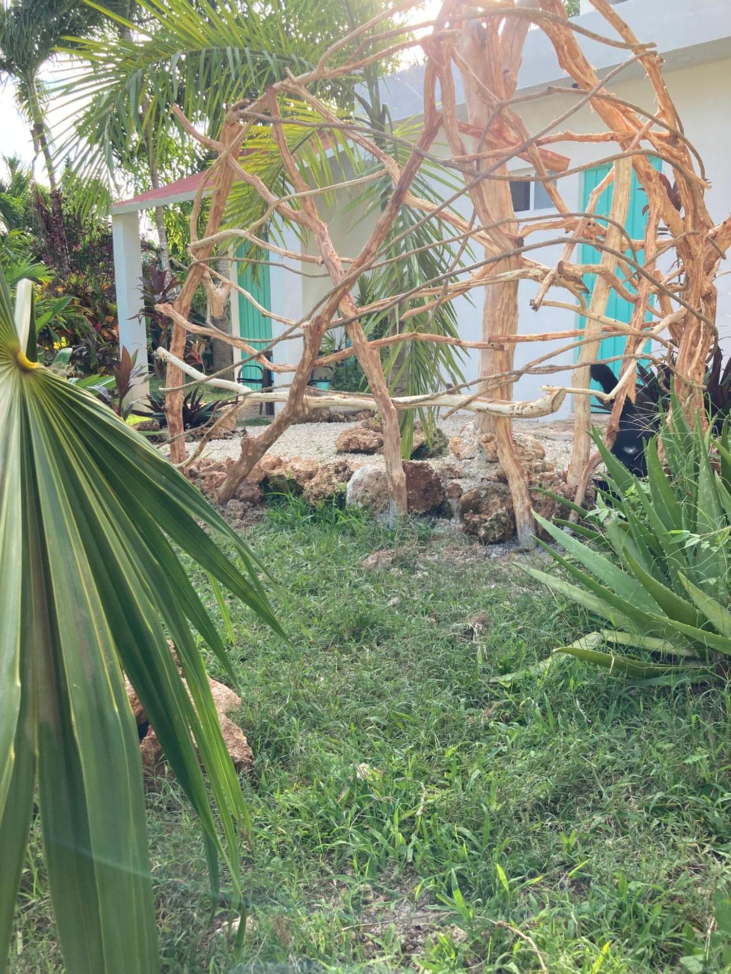 Green Paradise Leona Vicario Exterior foto