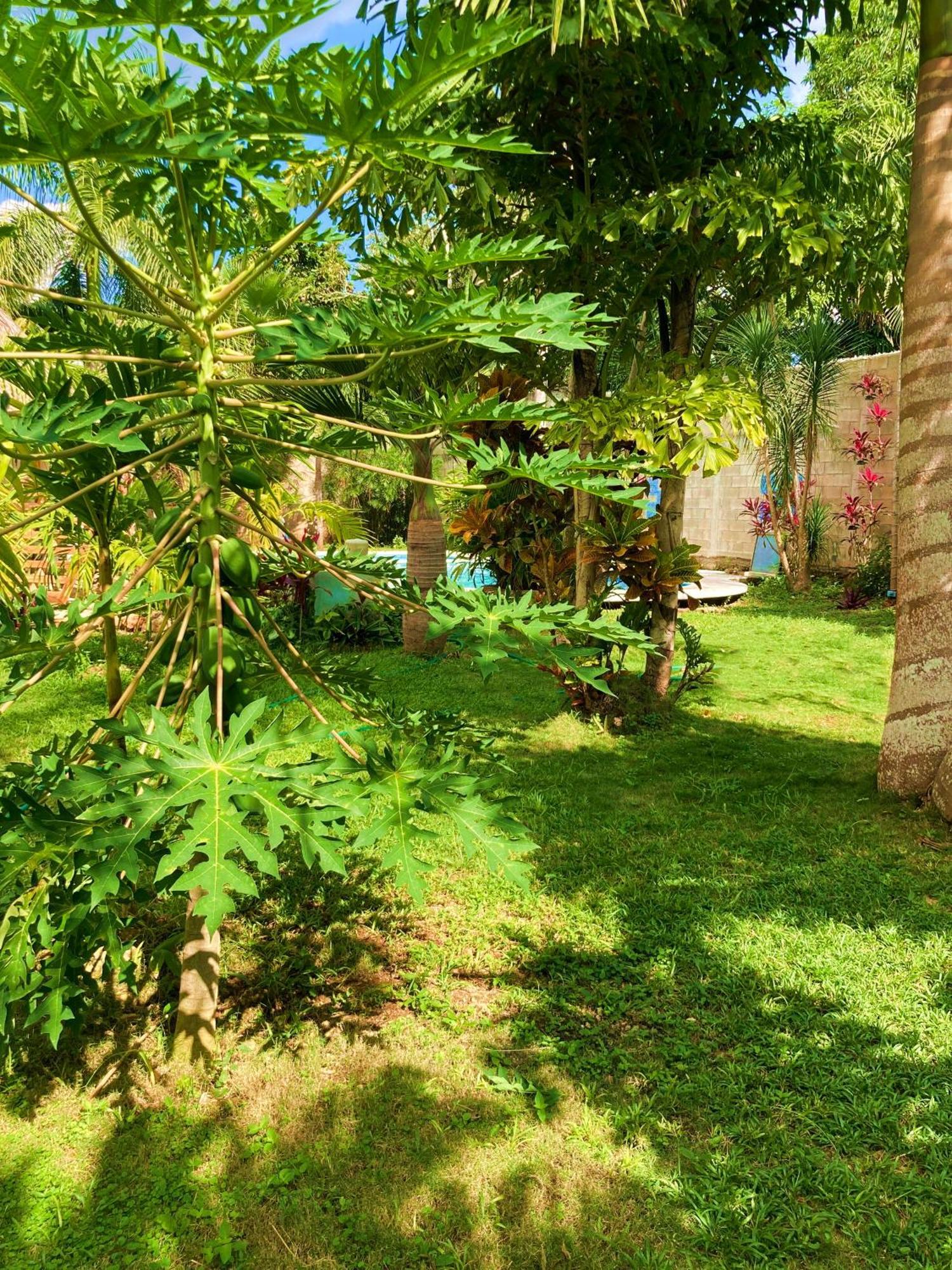 Green Paradise Leona Vicario Exterior foto
