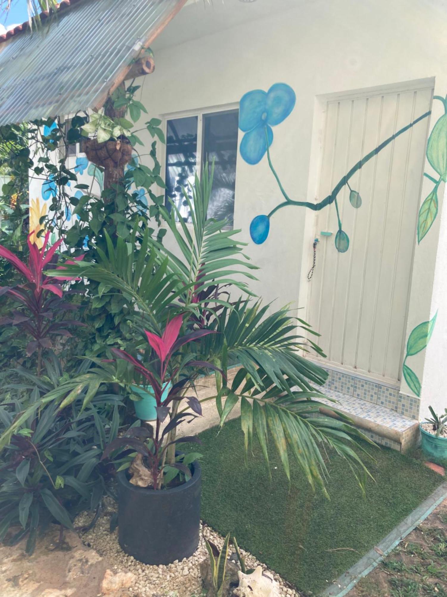 Green Paradise Leona Vicario Exterior foto