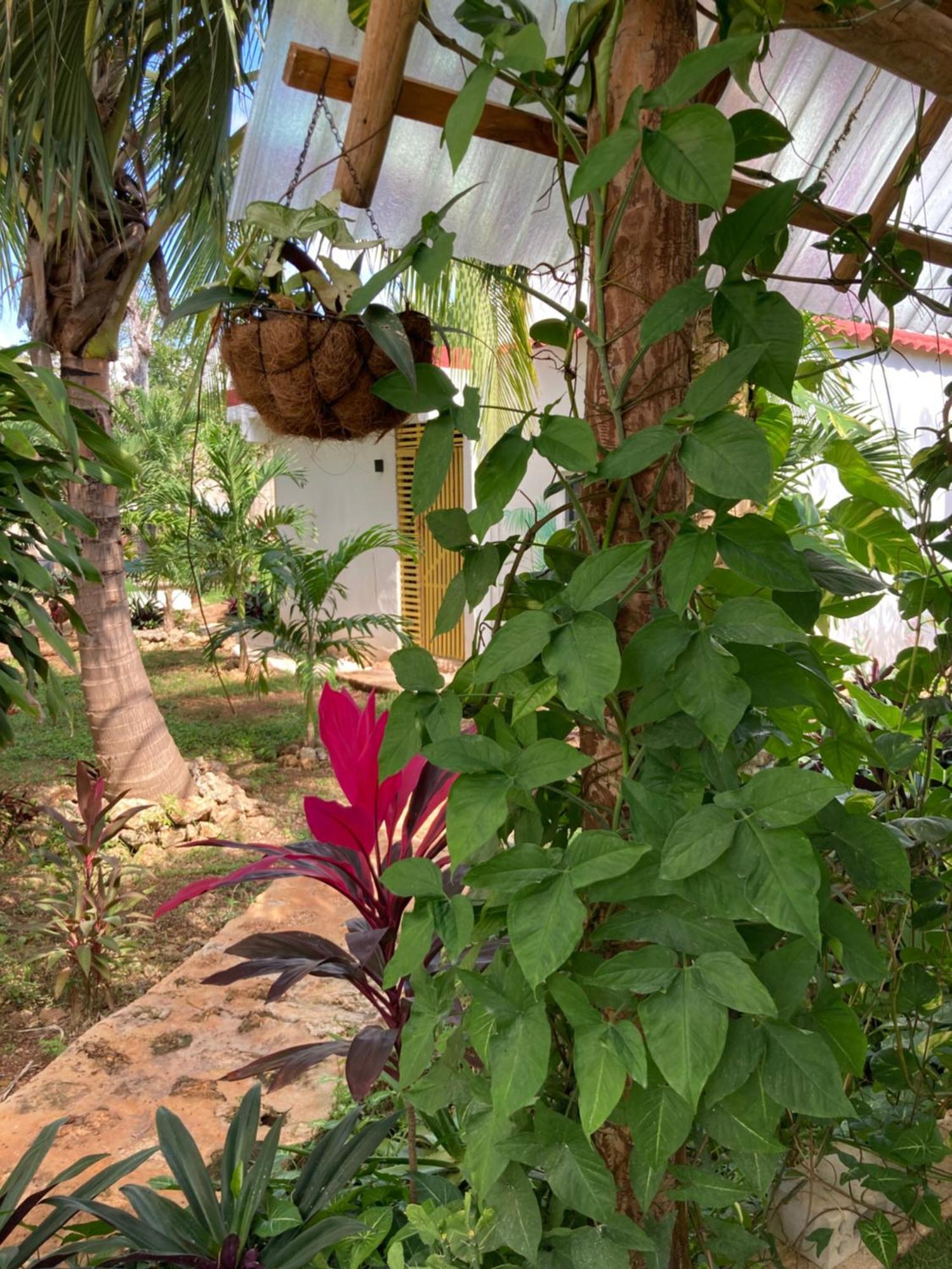 Green Paradise Leona Vicario Exterior foto