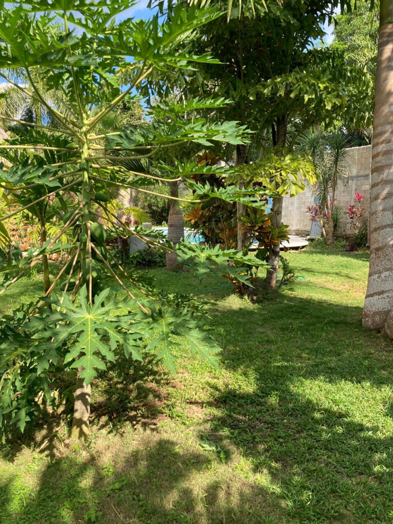 Green Paradise Leona Vicario Exterior foto