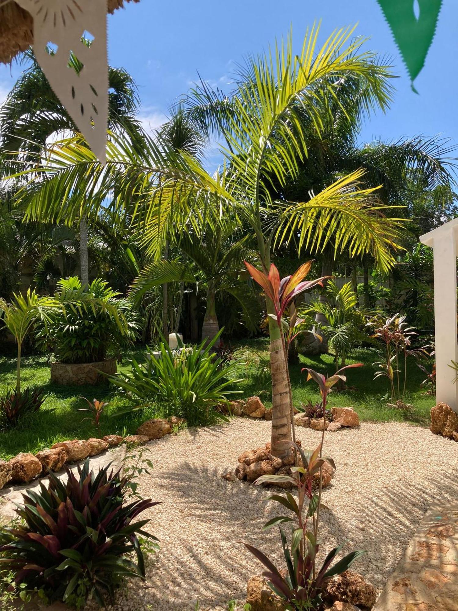 Green Paradise Leona Vicario Exterior foto