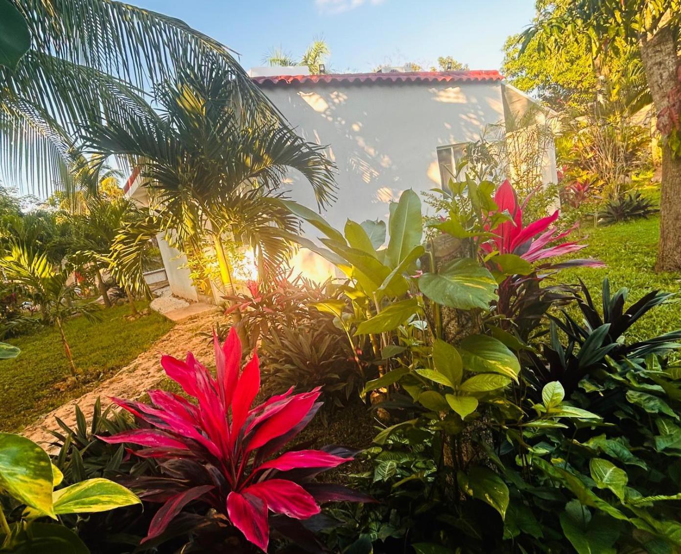 Green Paradise Leona Vicario Exterior foto
