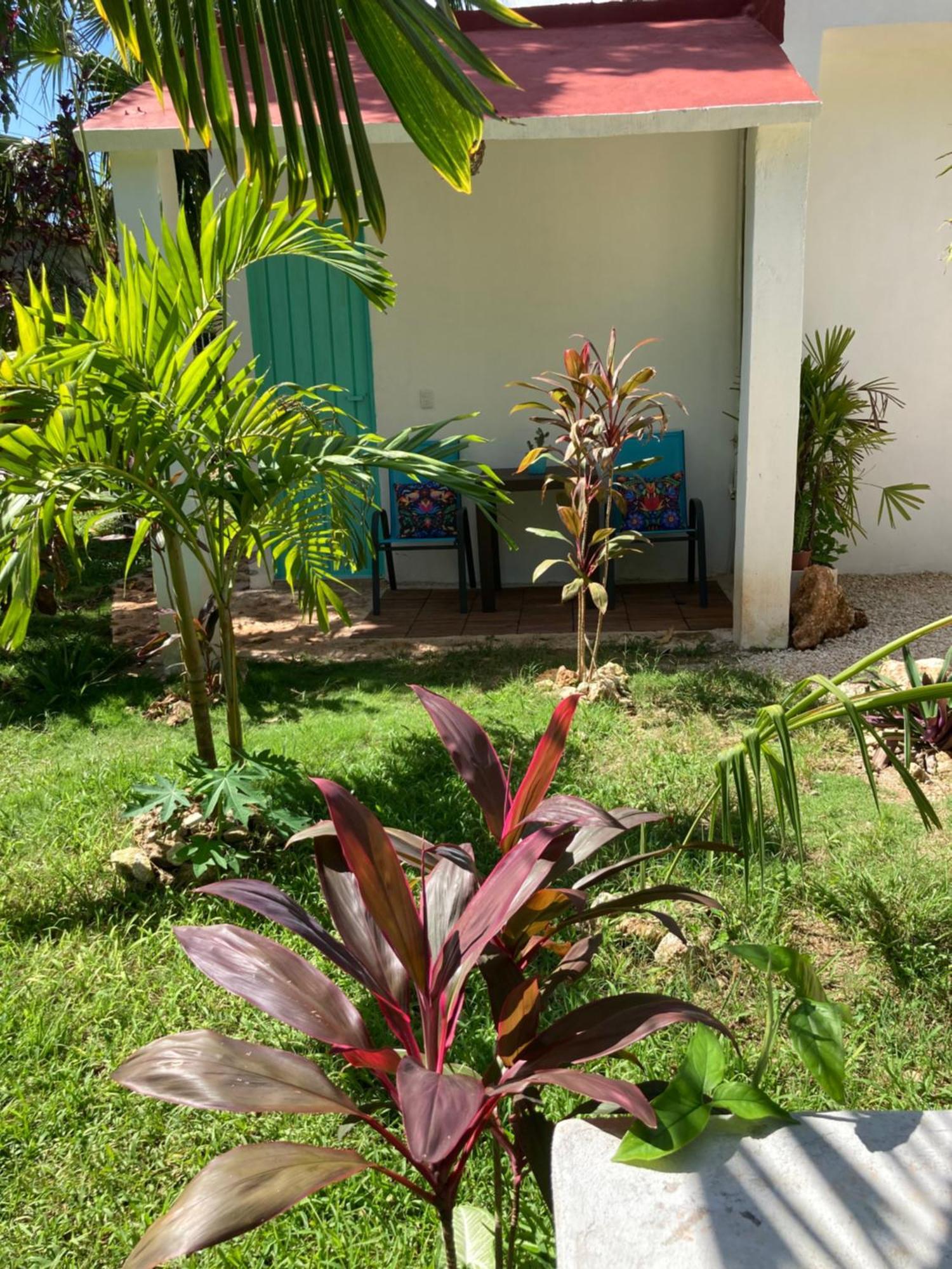 Green Paradise Leona Vicario Exterior foto